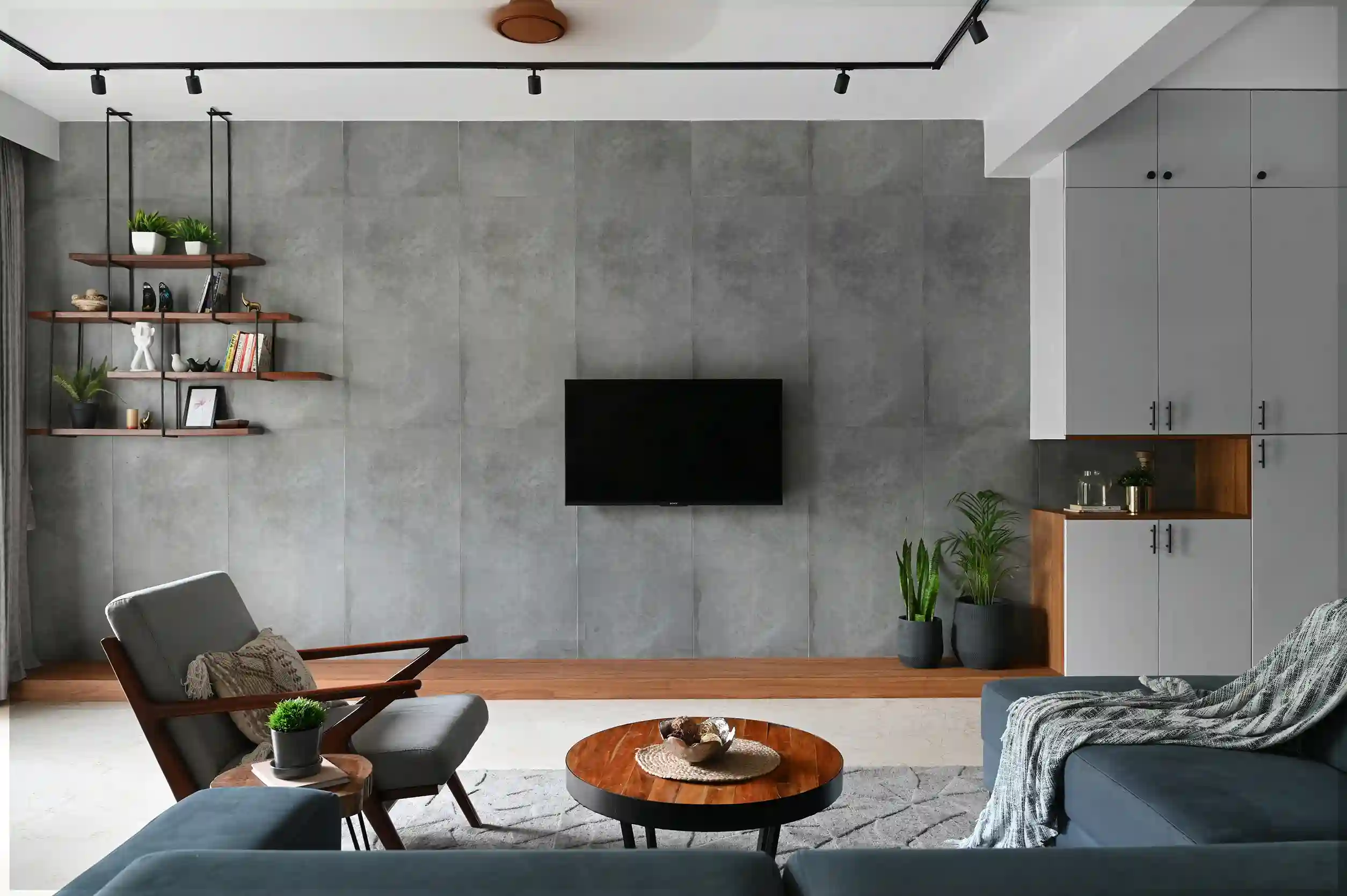 Modern living room featuring a gray accent wall, sleek furniture, wooden shelves, and potted plants, creating a stylish, cozy atmosphere.